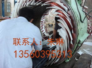 發電機維修 發電機保養 直流電機維修 保養規格型號及價格 電機維修 電機保養 發電機維修 發電機保養